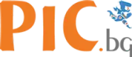 Pic Computers logo