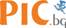Pic Computers logo
